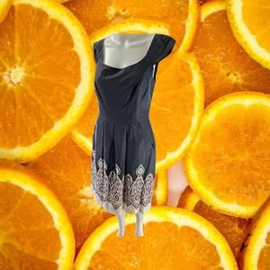 Muse Black Sleeveless Dress With White and Pink Paisley at Bottom‎ Size 8